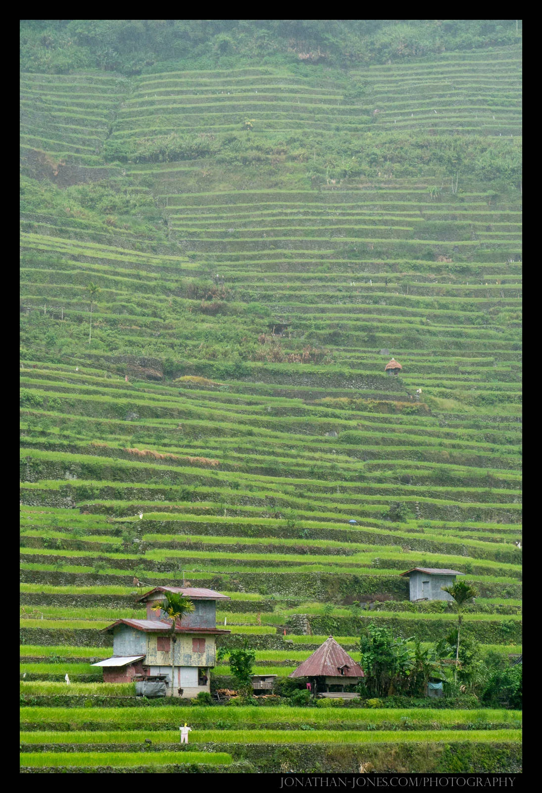 Batad, Luzon, Philippines