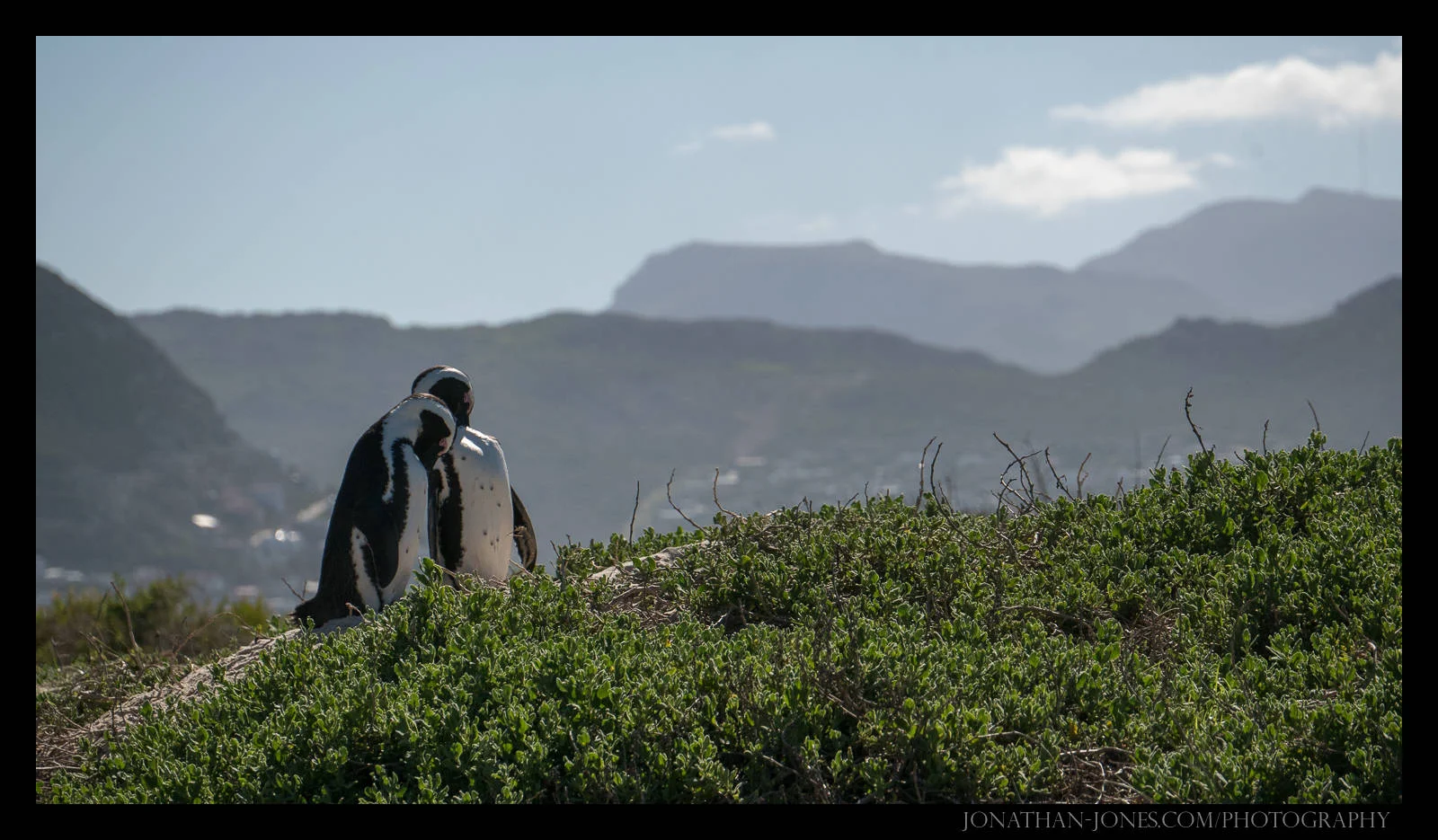 Cape Peninsula