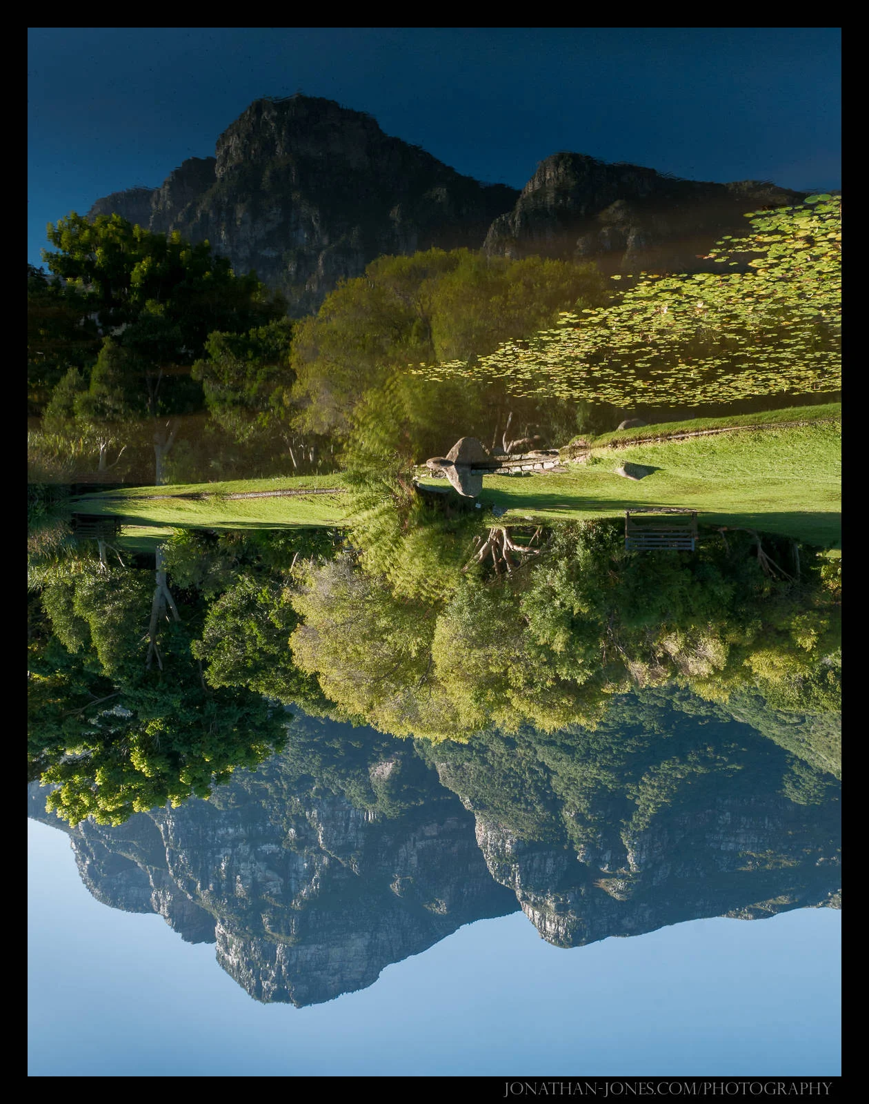 Table Mountain from Kirstenbosch National Botanical Garden