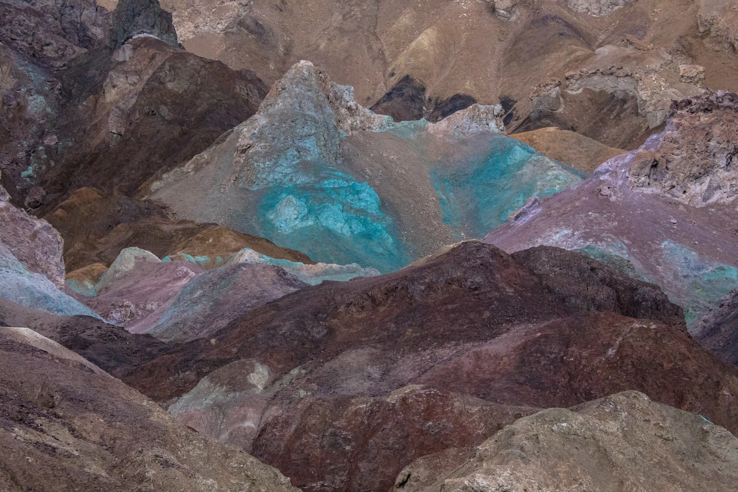 Artist's Palette