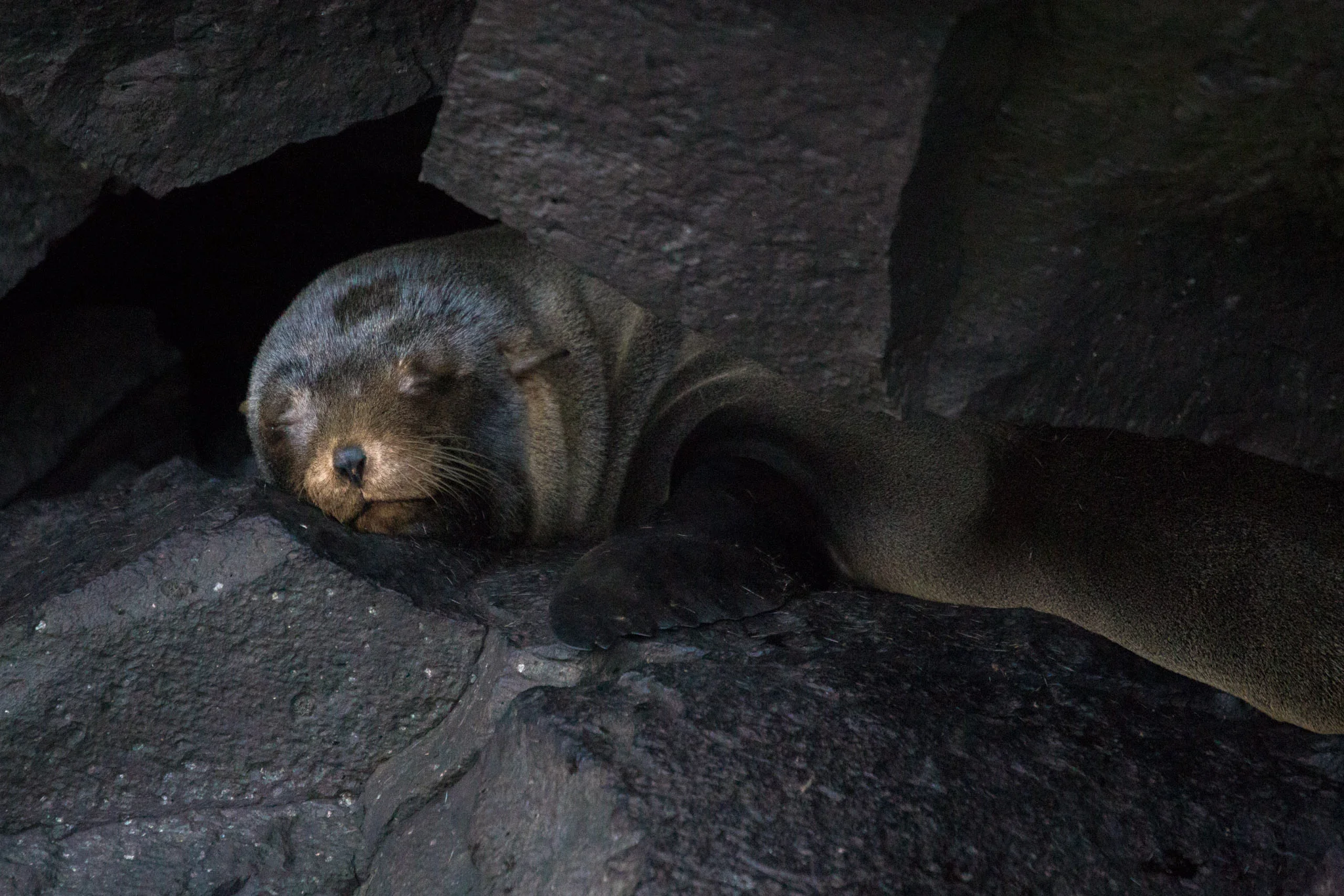 Me, after the buffet breakfast