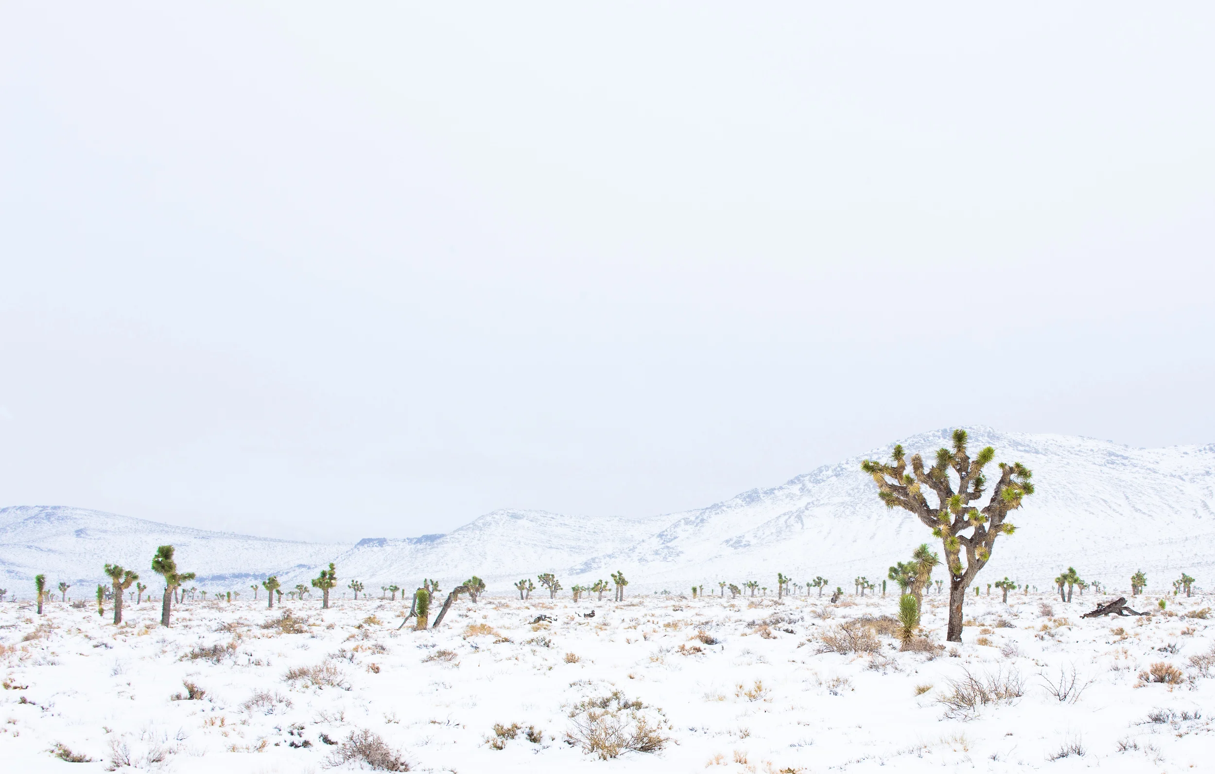 Death Valley