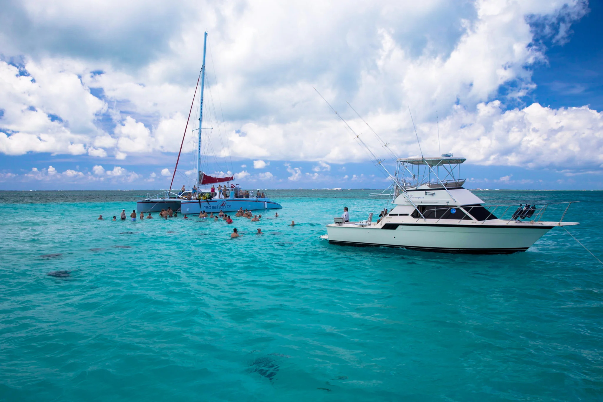 Stingray city, a sandbar where the stingrays have been training humans to come and feed them squid for over 50 years.