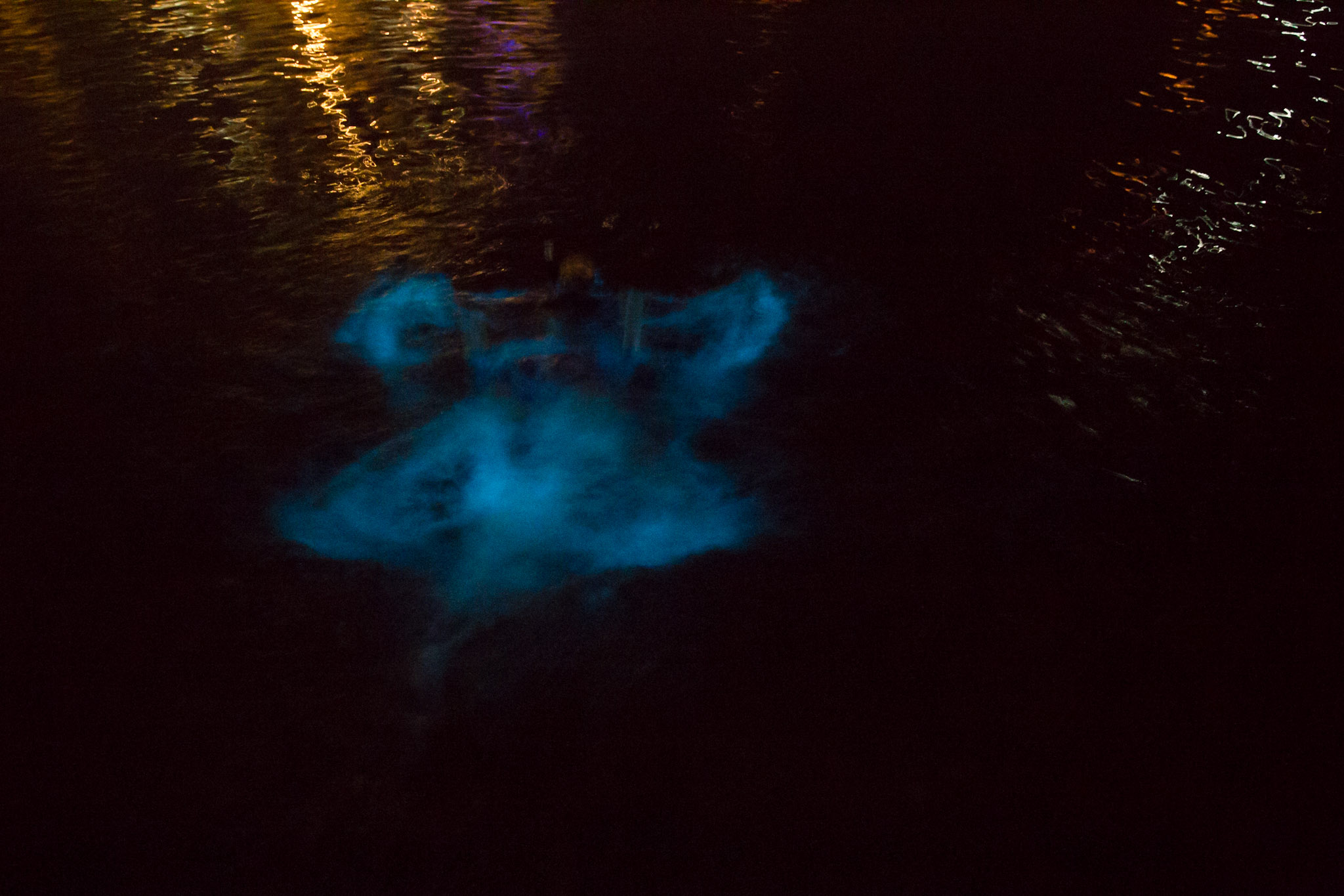 Shannan makes a bioluminescent angel