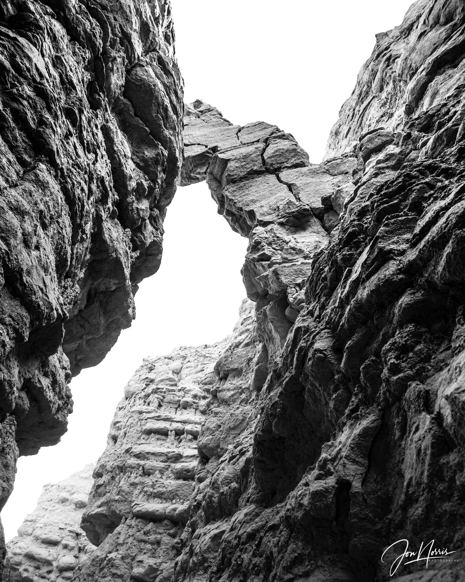 20190224_Anza_Borrego_JNP_1030_WEB.jpg