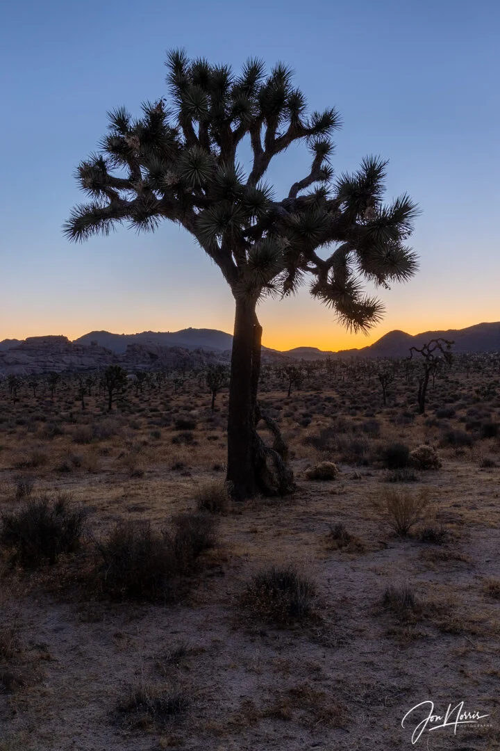 Sunrise at Hidden Valley (Copy)