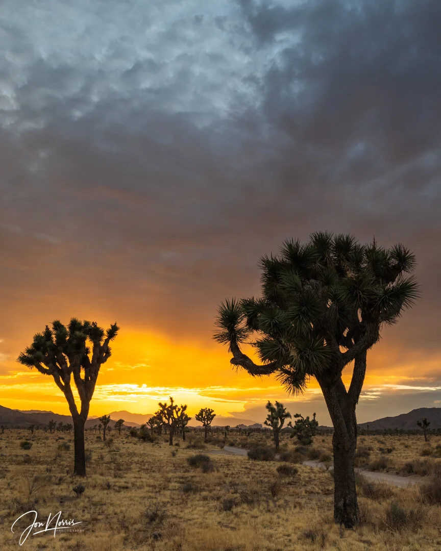 Sunset Explosion (Copy)