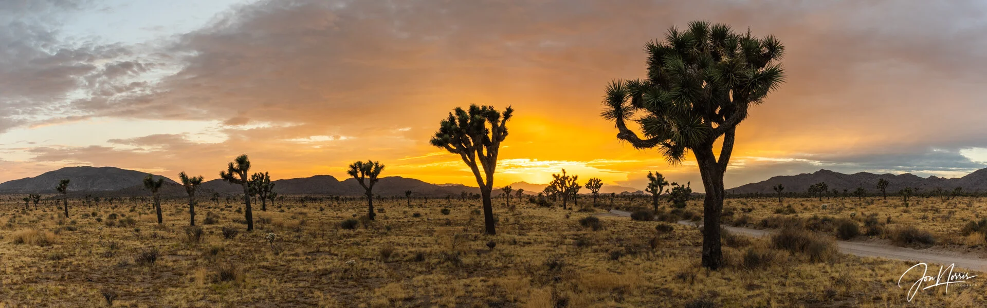 Panoramic Sunset (Copy)