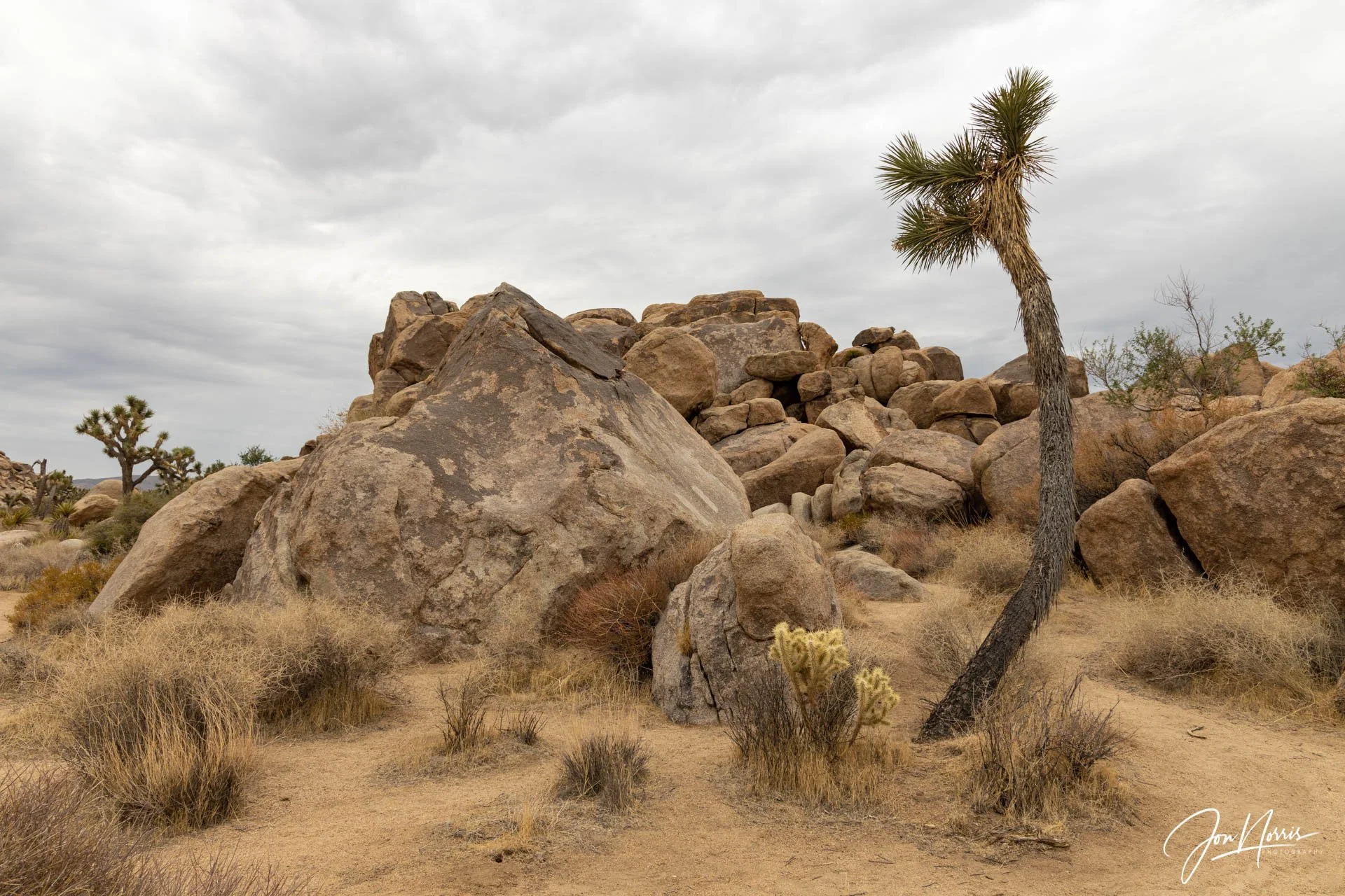 Quail Springs (Copy)