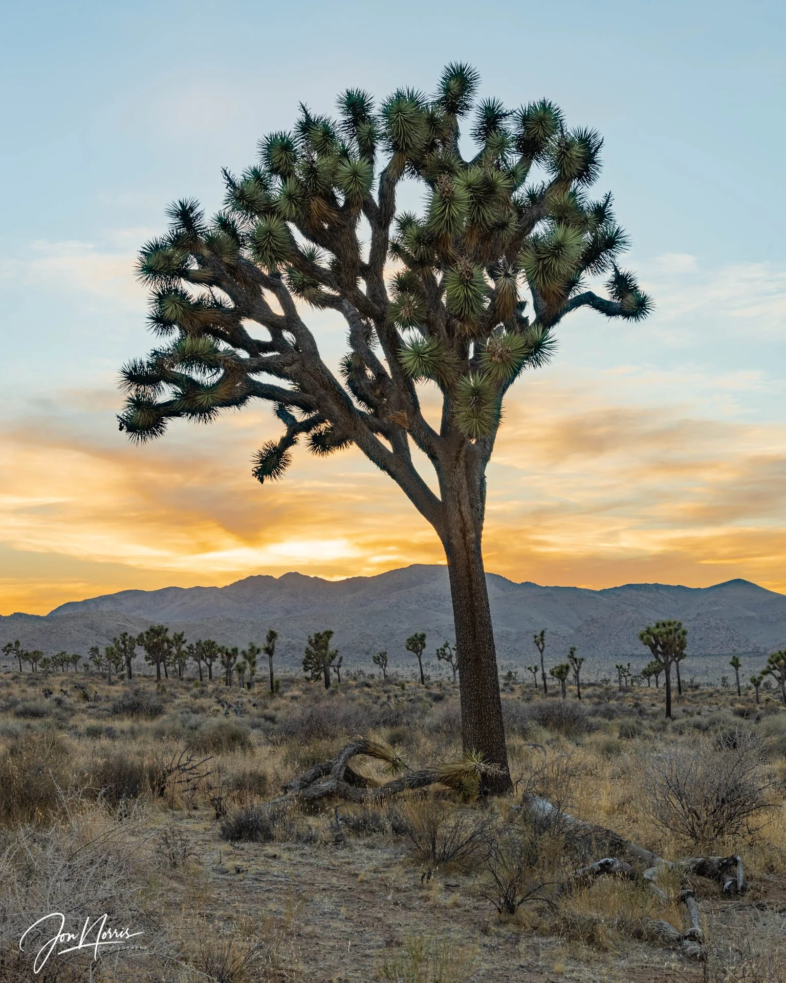 The Great Wide Open (Copy)