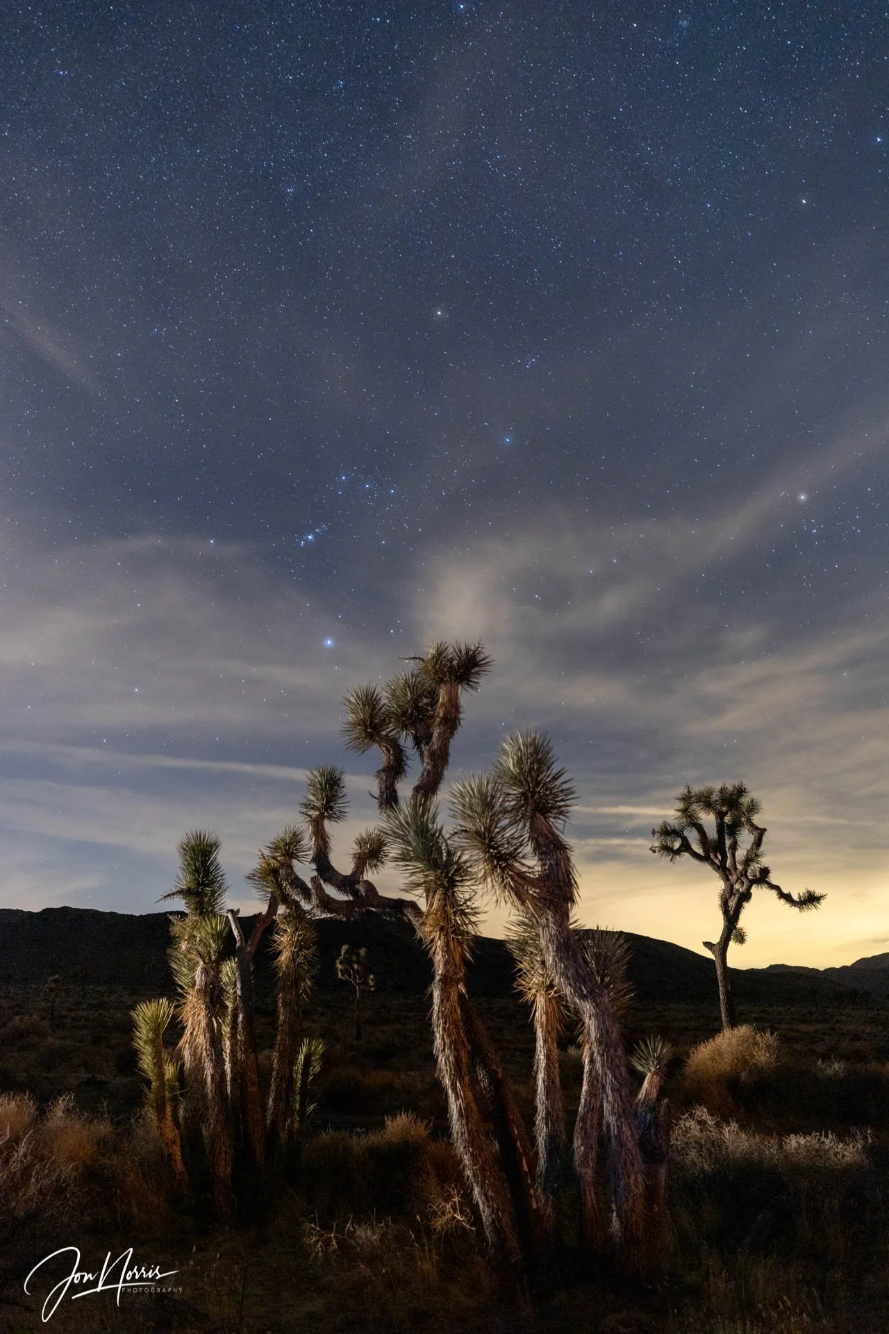 Clouds and Constellations (Copy)