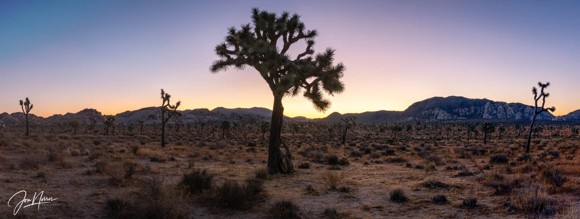 Sunrise Panorama (Copy)