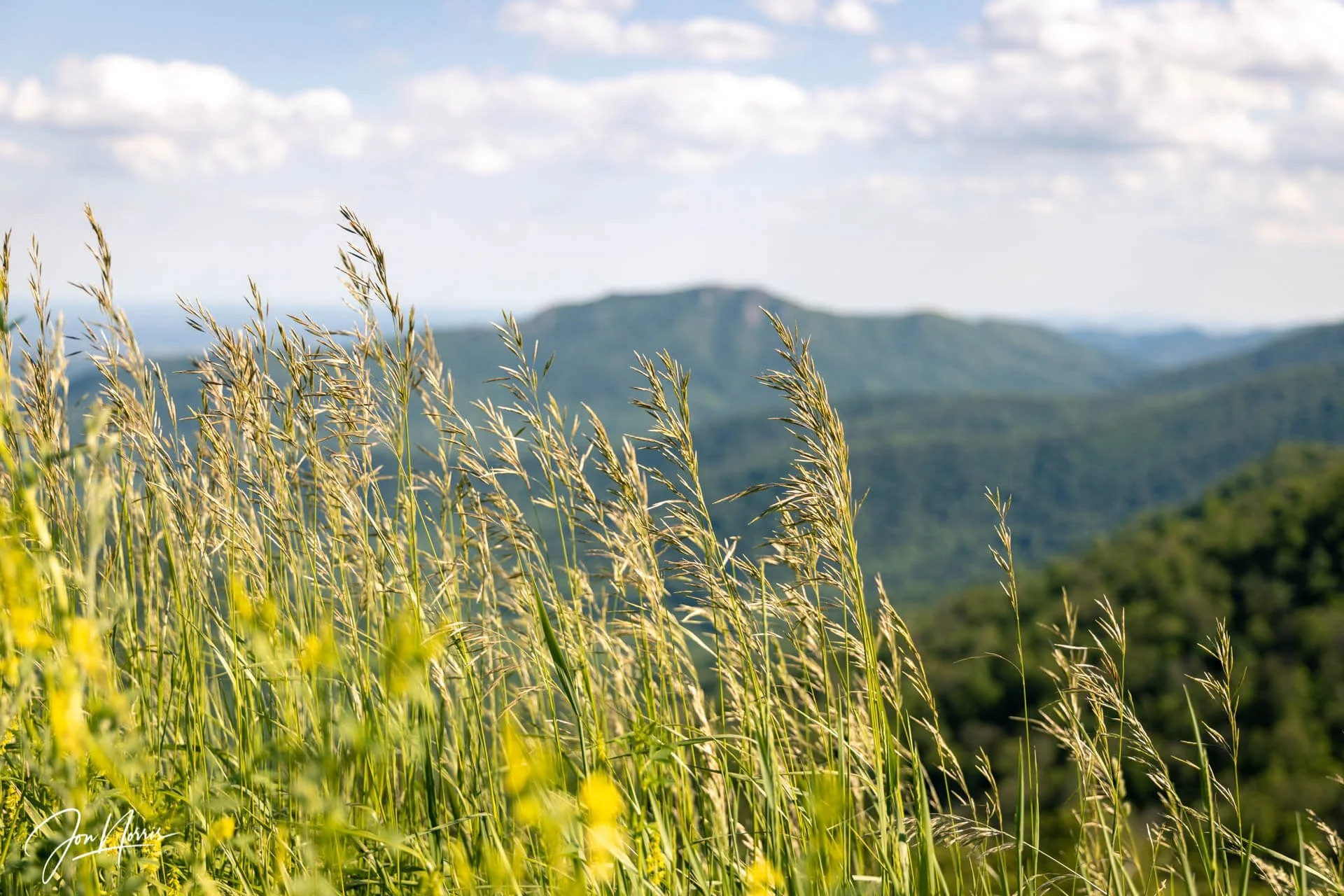 Shenandoah National Park, VA
