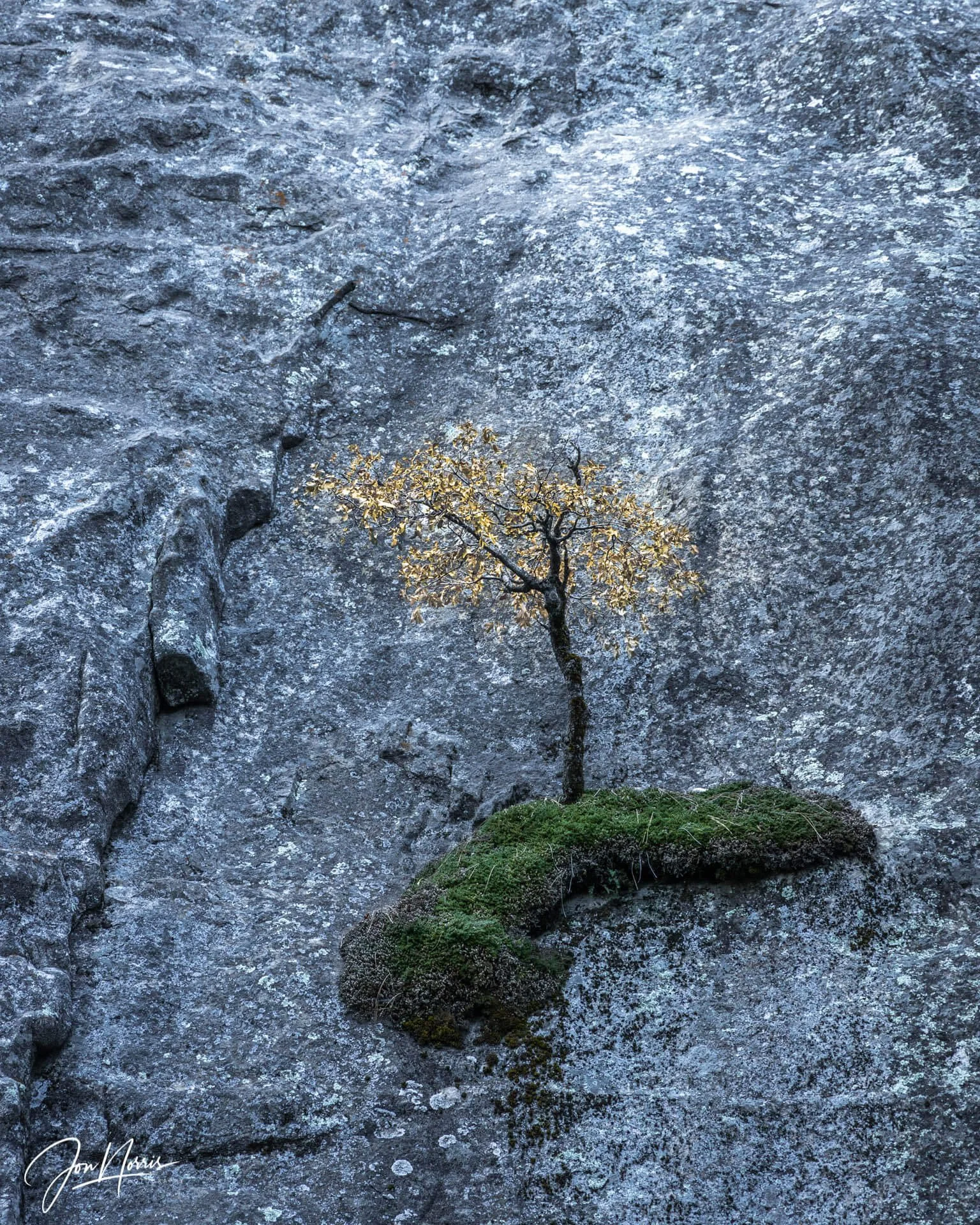 Hanging On (Copy)