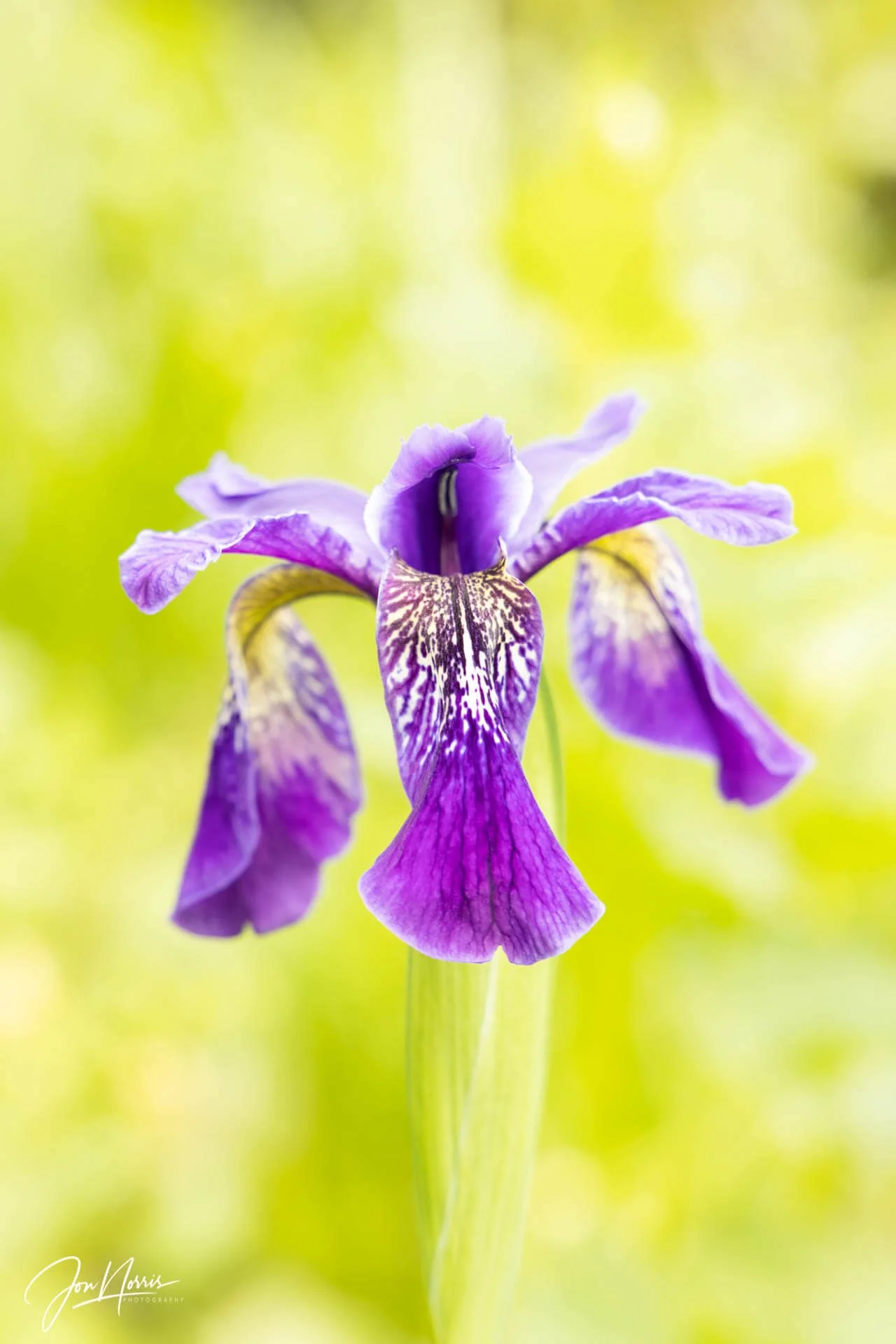 20190627_Bhutan_JNP_5158_WEB.jpg