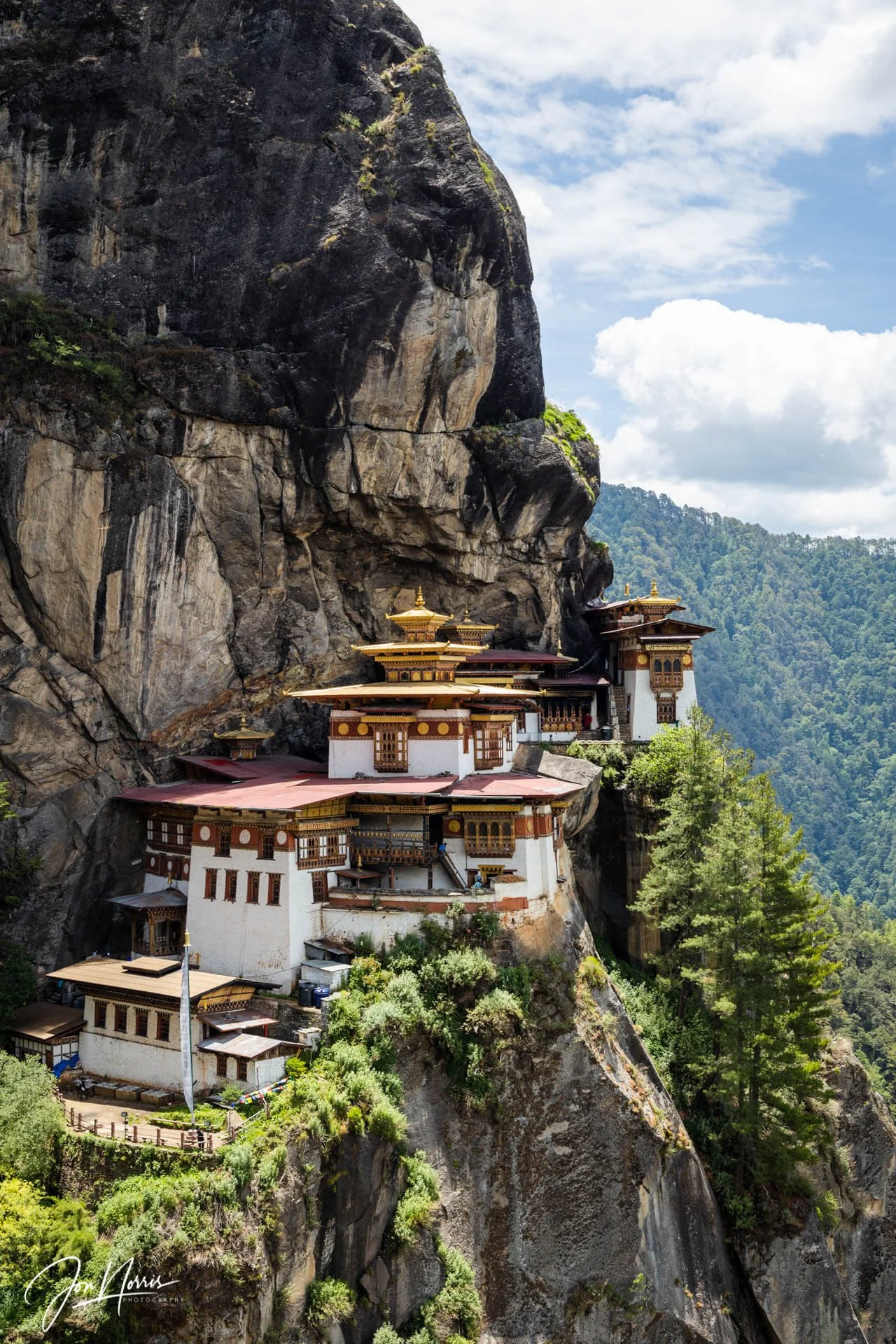 20190628_Bhutan_JNP_5424_WEB.jpg