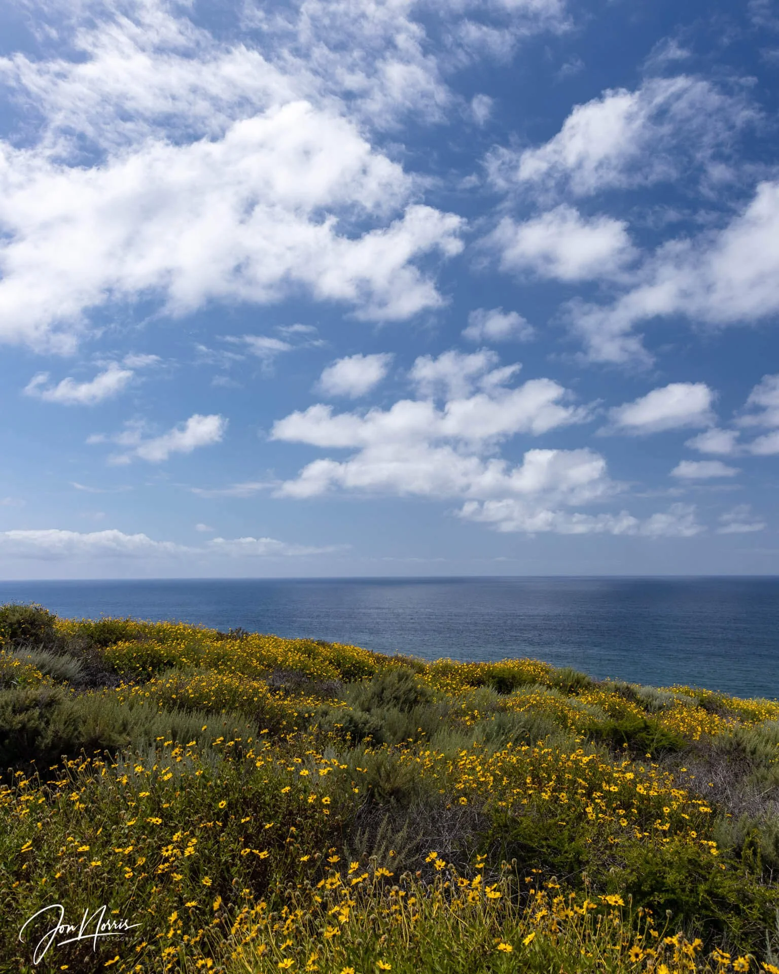 Coastal Bliss (Copy)
