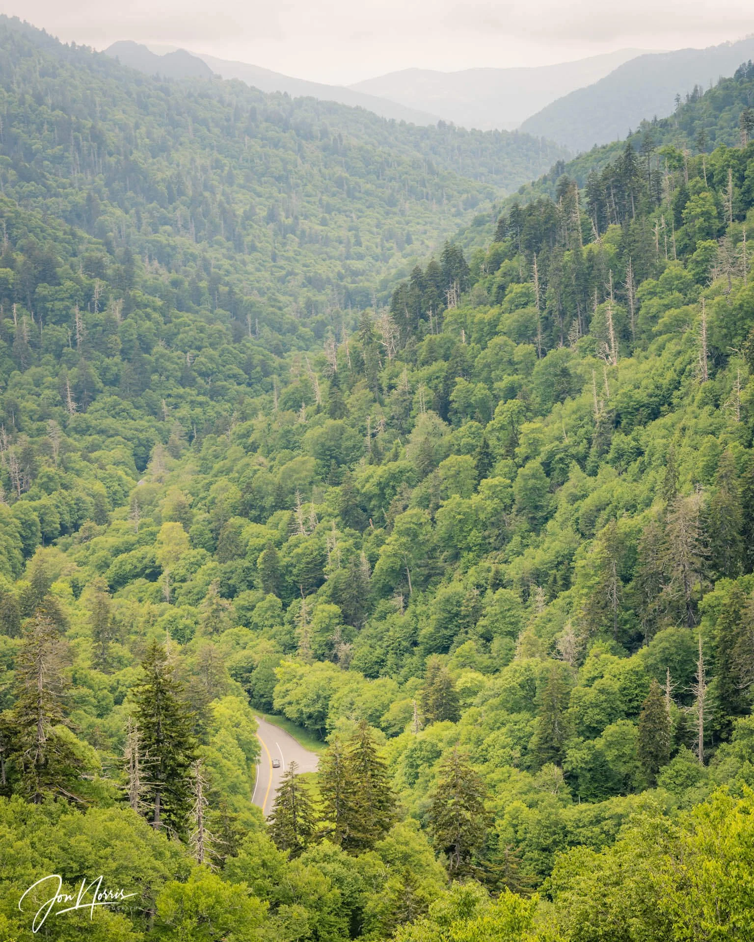 Scenic Drive (Copy)