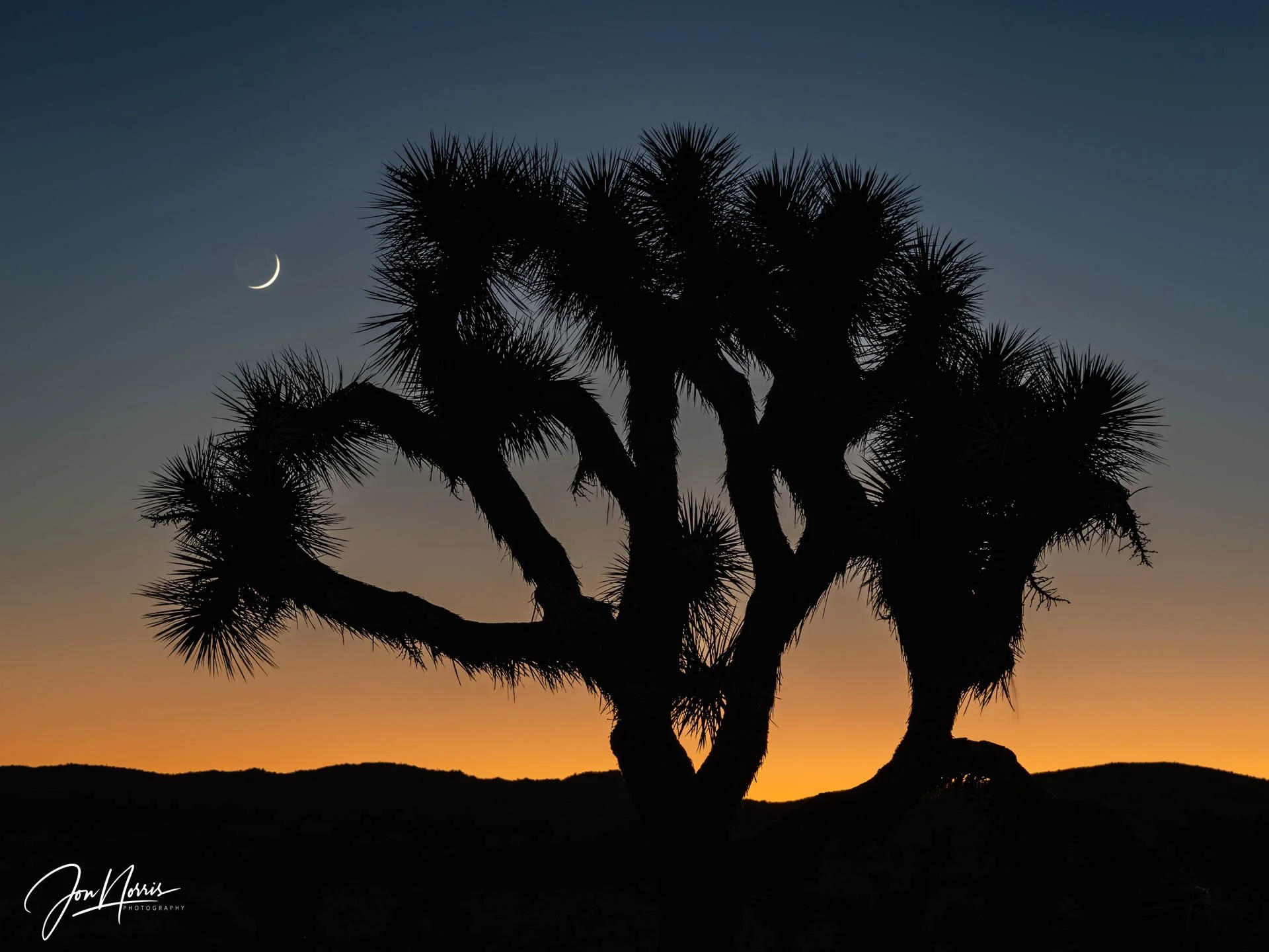 Last Light (Copy)