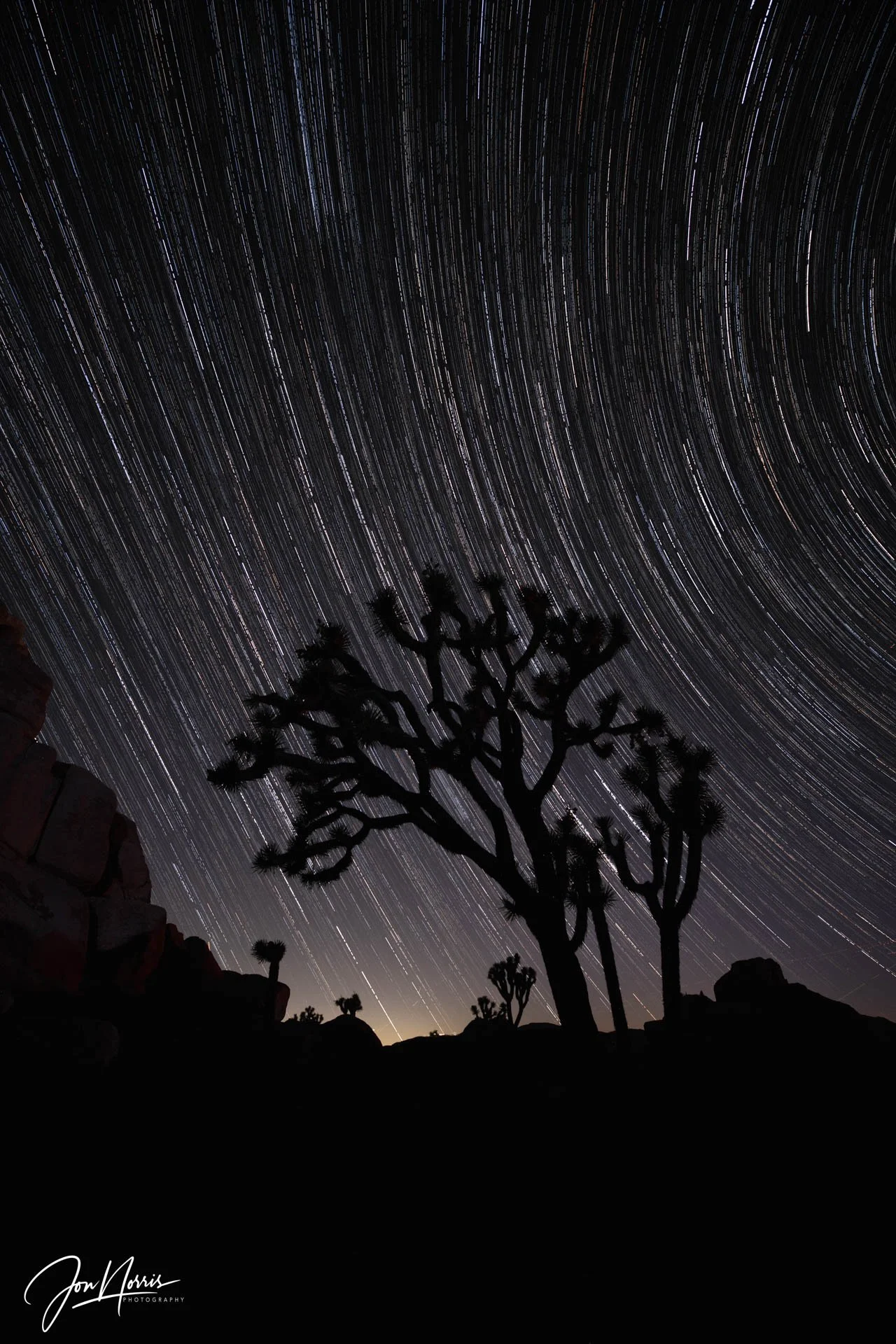 Star Trails Silhouette (Copy)