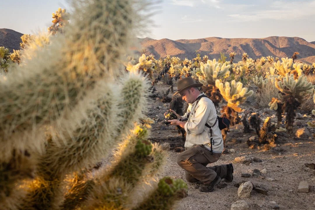 20210926_Joshua_Tree_JNP_93373_WS.jpg (Copy)