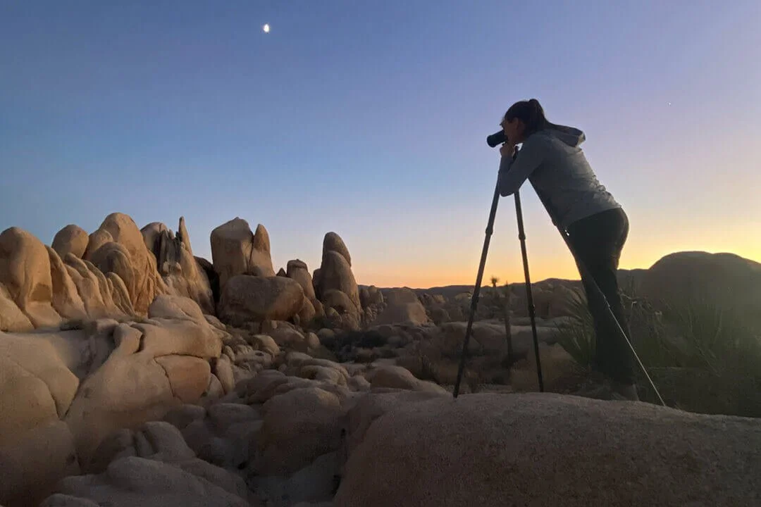 20211111_Joshua_Tree_JNP_98513.jpg (Copy)