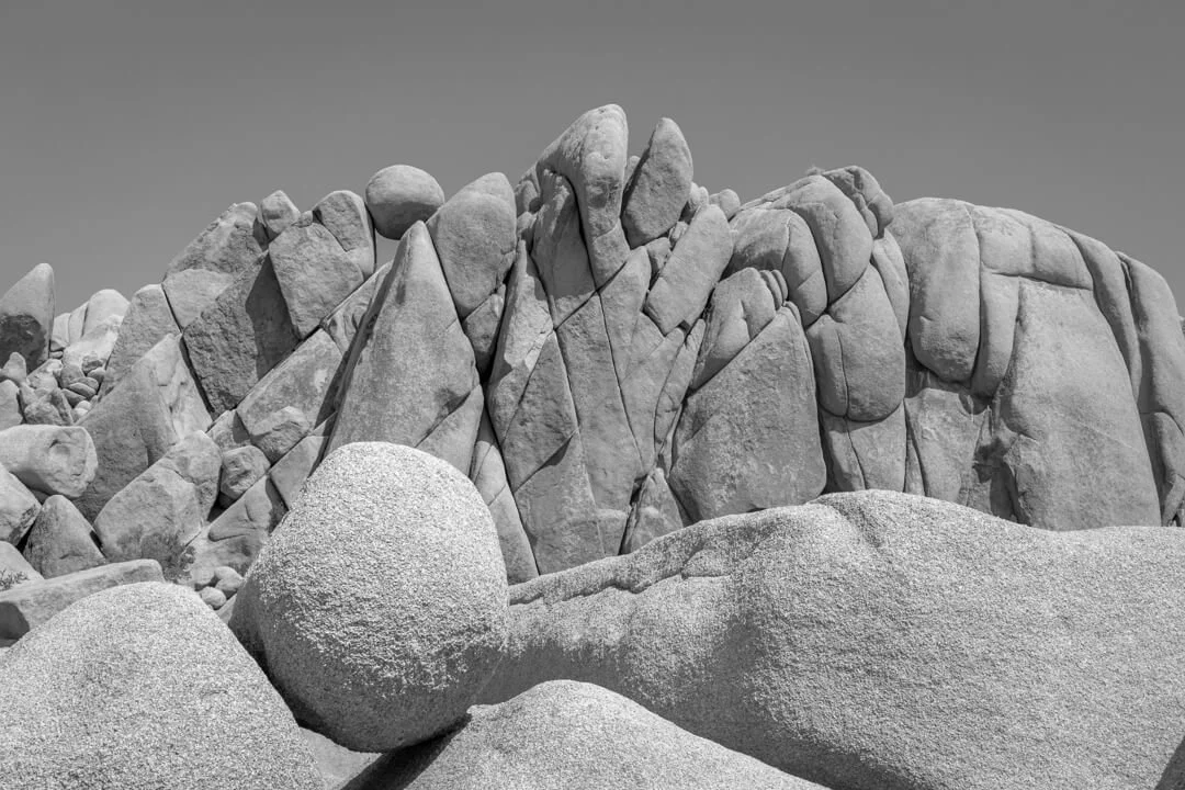 20200920_Joshua_Tree_JNP_2621_WS.jpg (Copy)