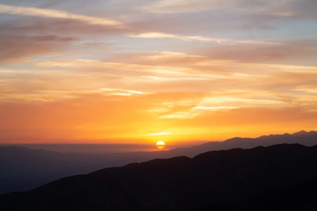 20160327_Joshua_Tree_JNP_6899_WS.jpg (Copy)