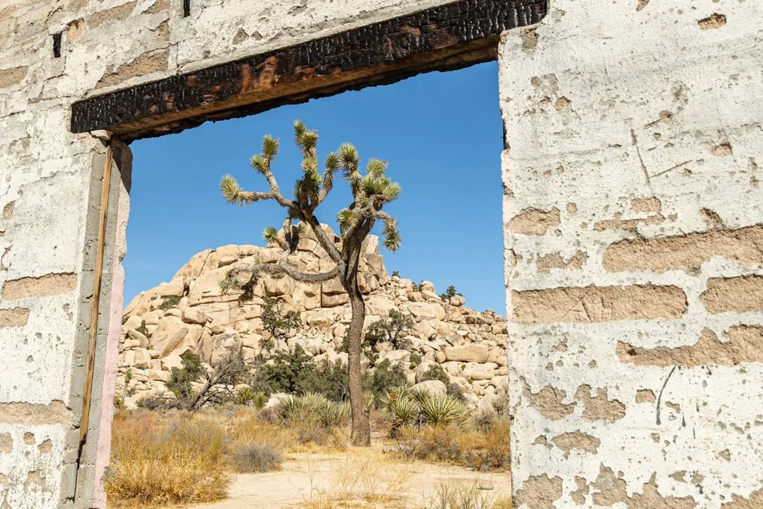 20191020_Joshua_Tree_JNP_7768-7774-HDR_WS.jpg (Copy)