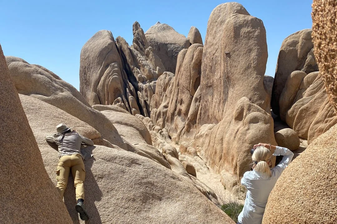 20230415_Joshua_Tree_JNP_4201_WS.jpg (Copy)