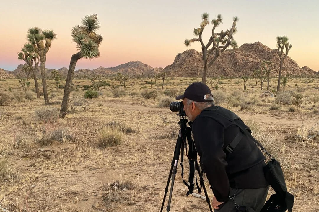 20231015_Joshua_Tree_JNP_96024_WS.jpg (Copy)