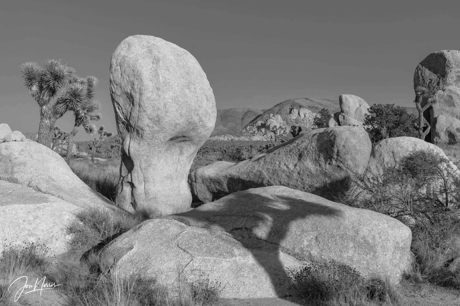  Rock Club   Another shot of the other-worldly rock formations that can be found in Joshua Tree ... just love these shapes and textures ... and the shadow of the tree in the foreground.    Fine art, metal, or acrylic prints  