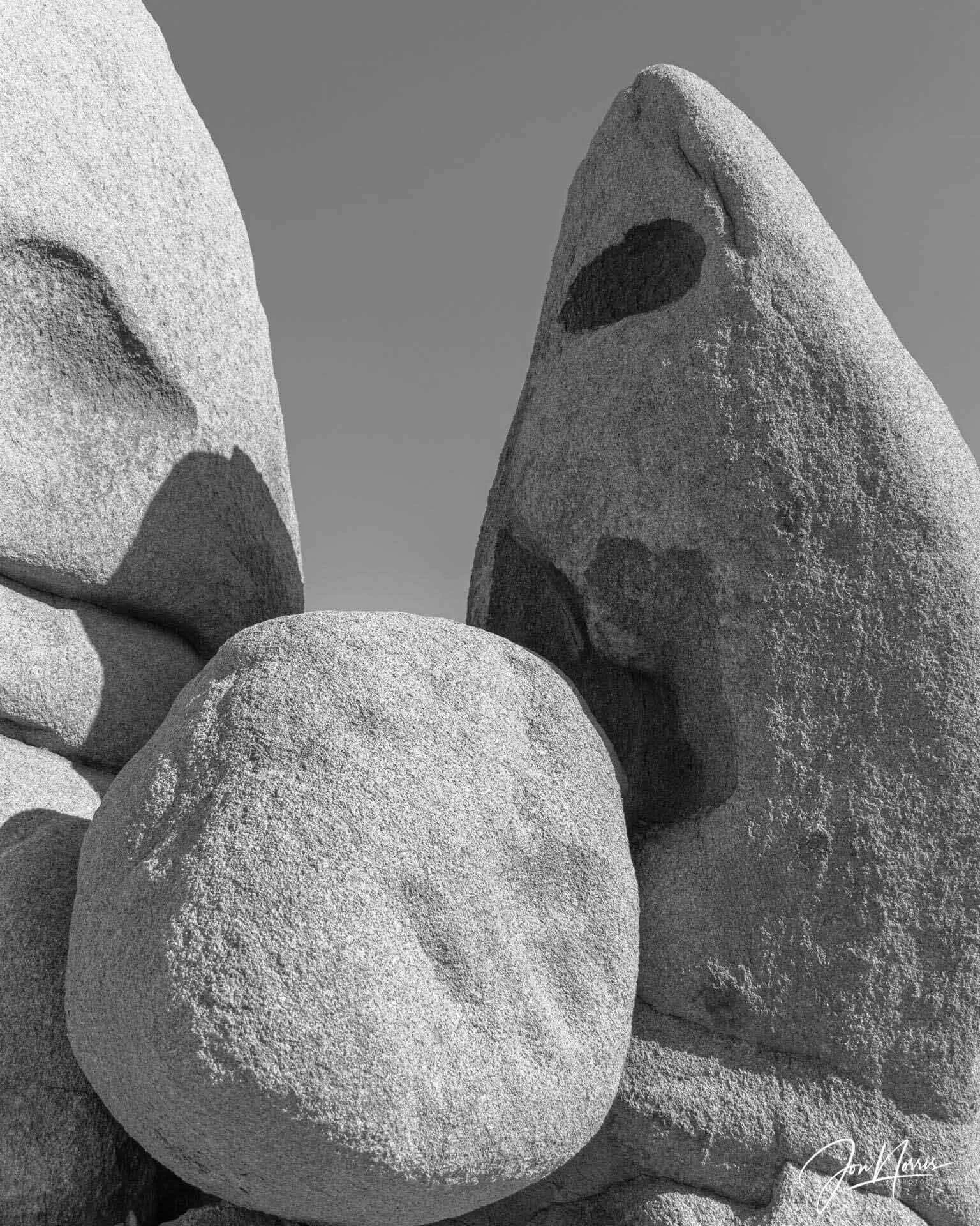  Rock On   You just never know what you're going to find in Joshua Tree ... interesting shapes and textures abound in the various rock formations.    See print options  