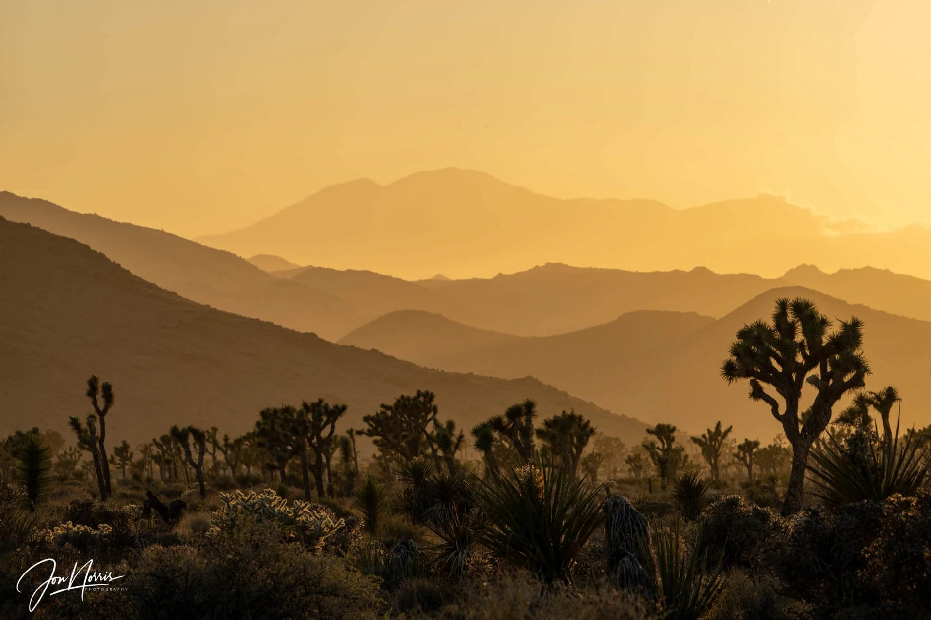 Sunset-Layers_WEB.jpg