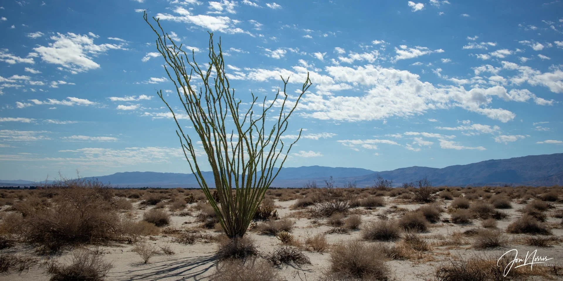 20181020_Anza_Borrego_JNP_2880_WEB.jpg