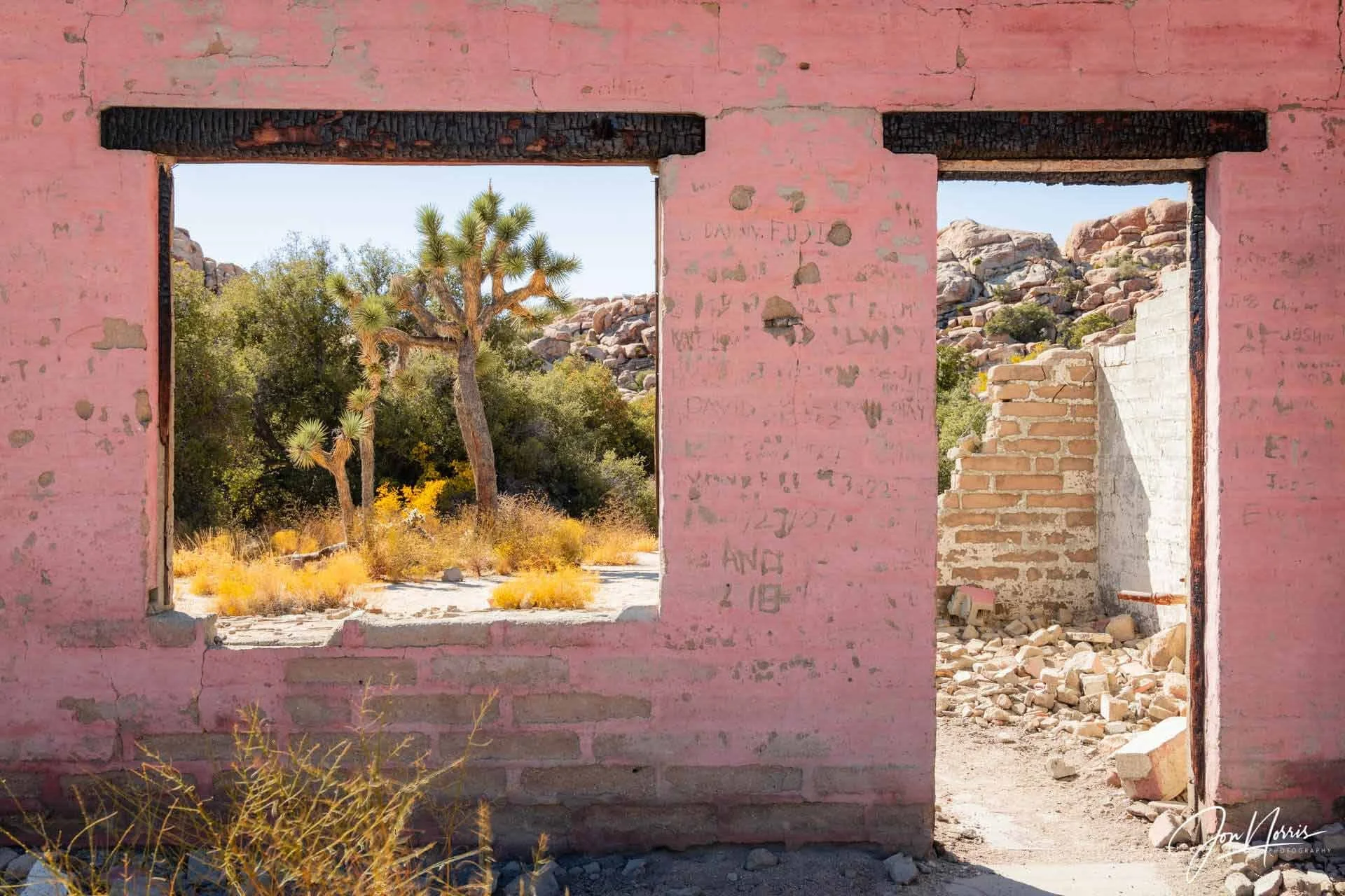  The Ohlson House   Looking through what's left of the old Ohlson House (The Wonderland Ranch) near the Wall Street Mill.    See print options  