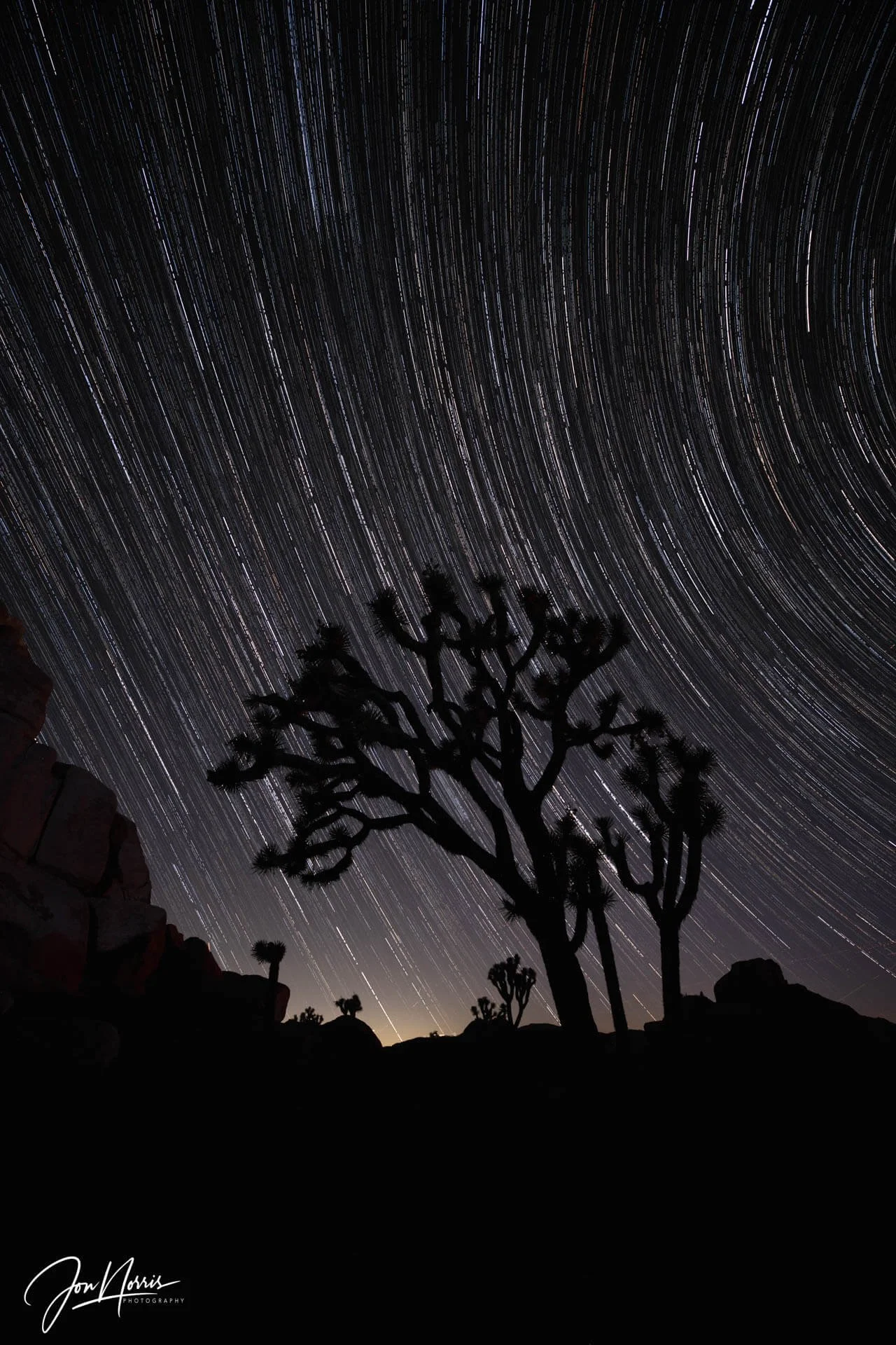 Star-Trails-Silhouette_WEB.jpg