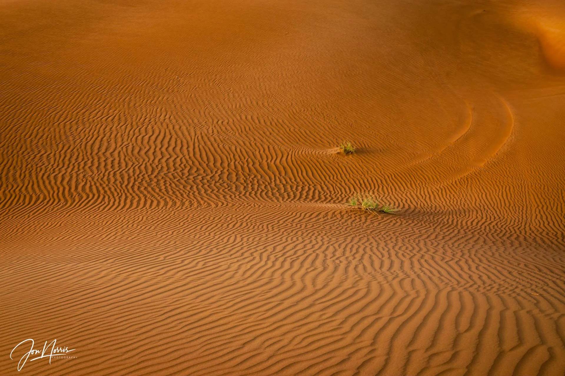 20080902_Dubai_JNP_5098_WEB.jpg