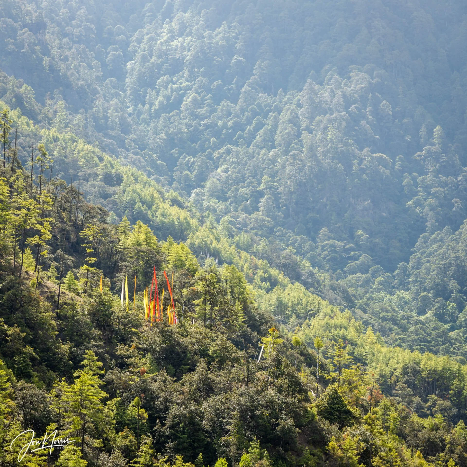 20190628_Bhutan_JNP_5336_WEB.jpg