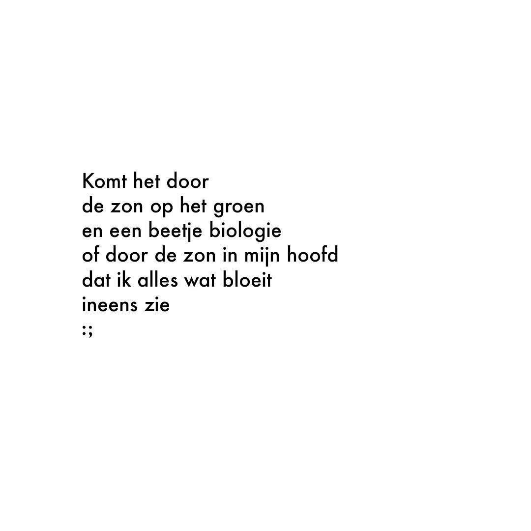 Lentevers 🌱 #dagvers #dichtgemaakt #gedicht #versje