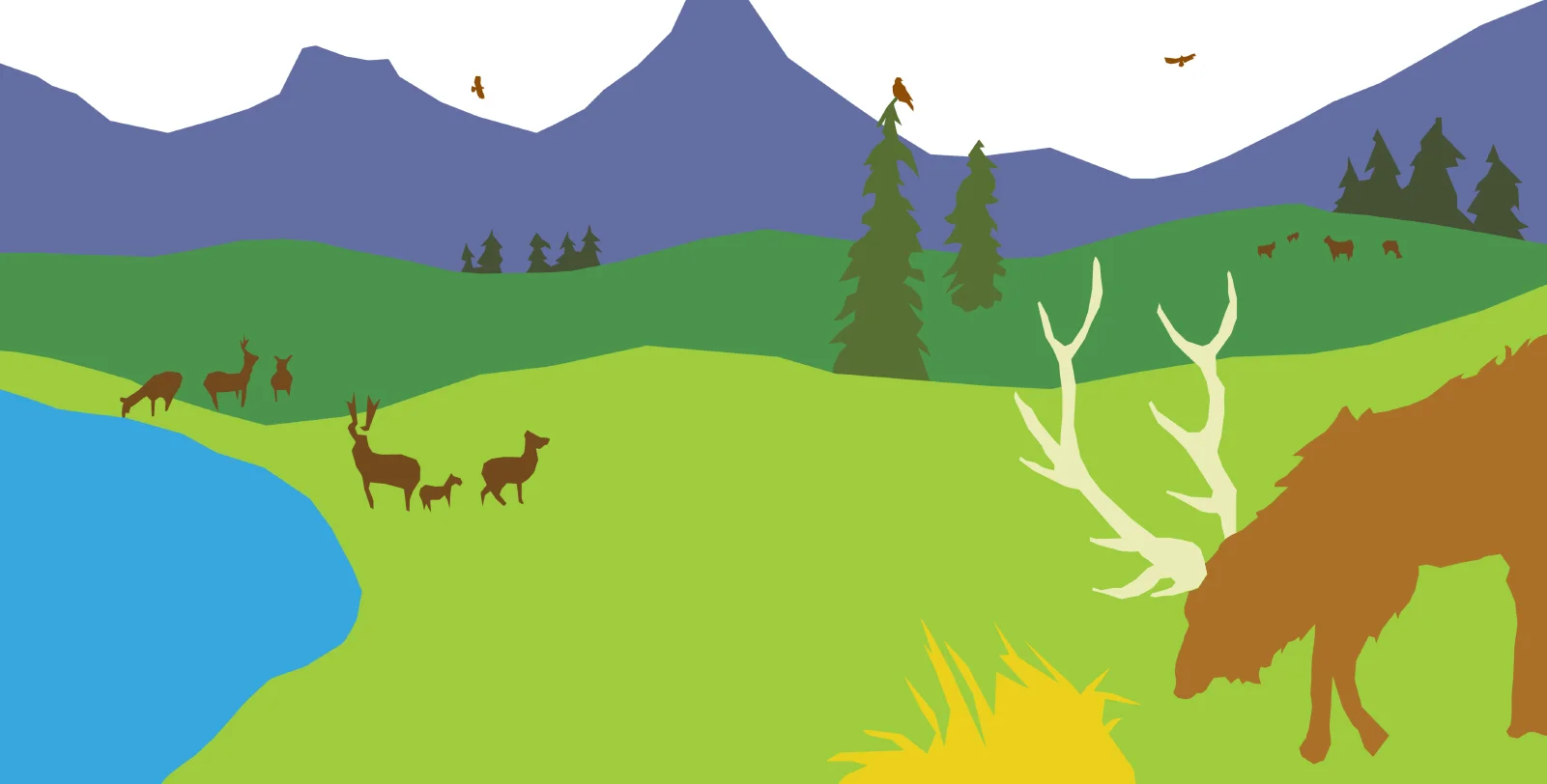 ELK