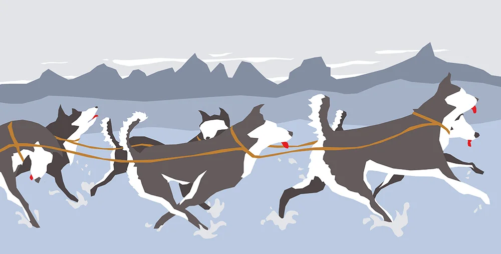 HUSKIES