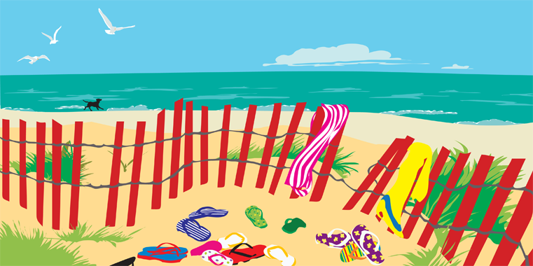BEACH FENCE