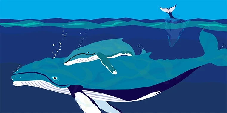HUMPBACKS