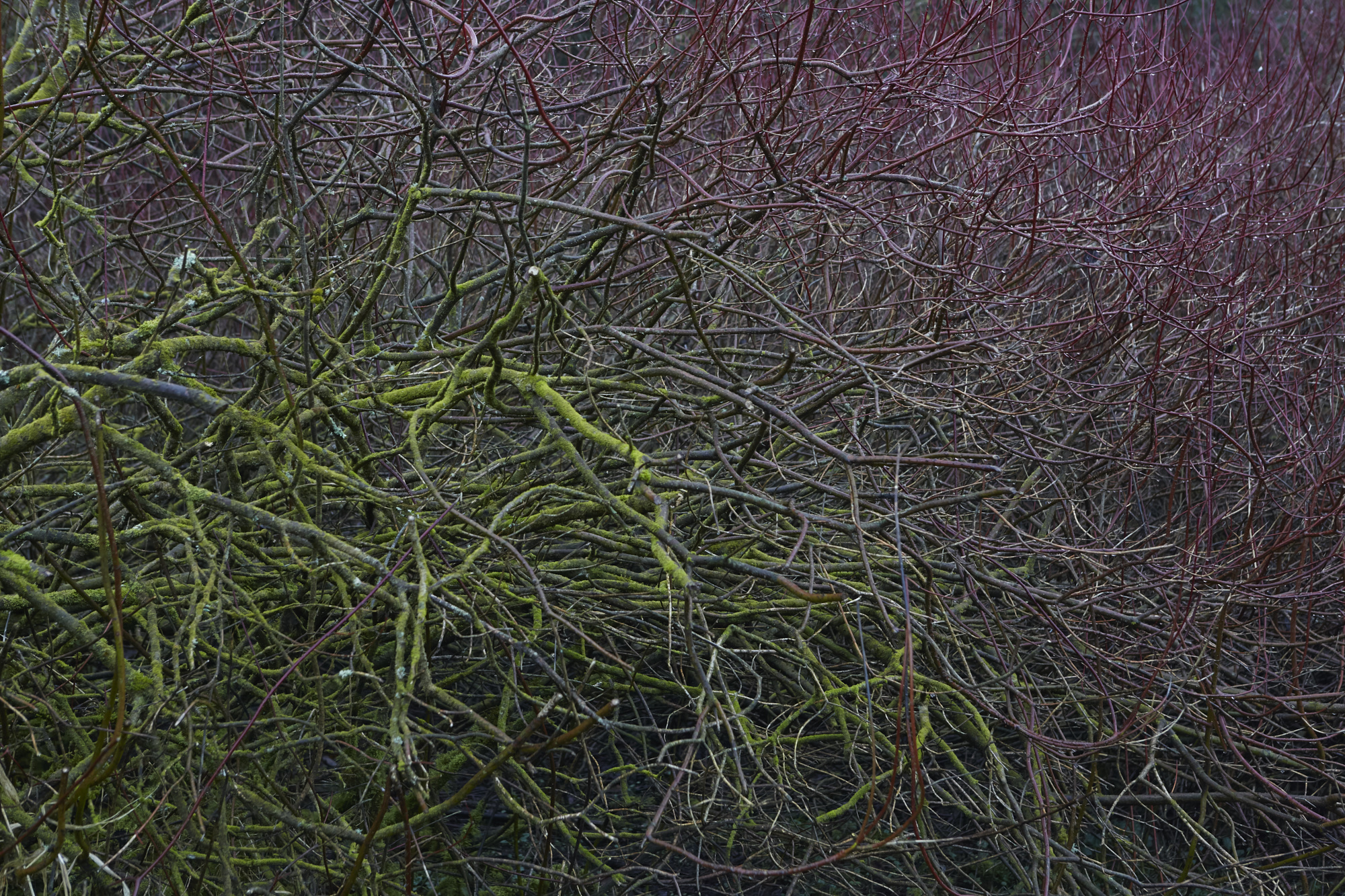 D2_7N1A7931.jpg