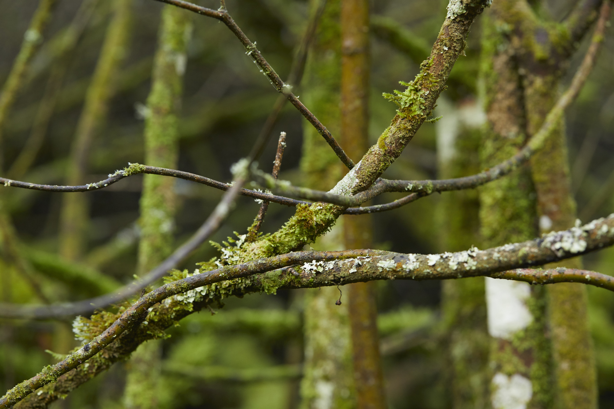 D2_432A4857.jpg