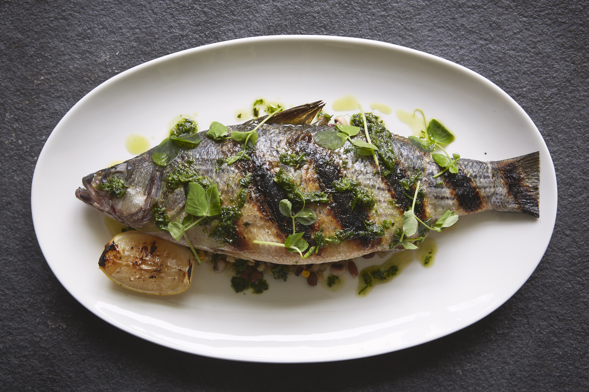 Fish_198.jpg