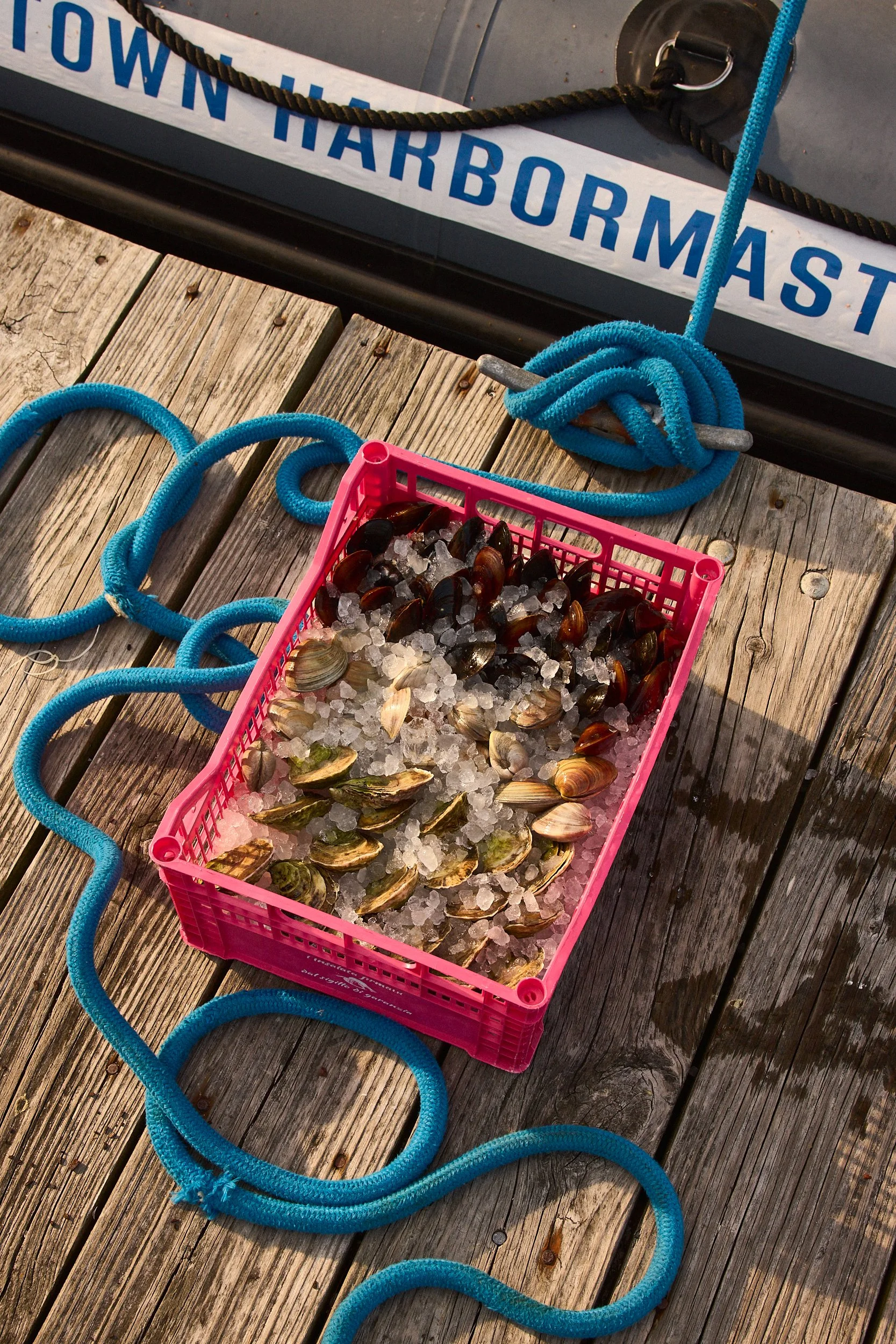 Pescadou_0653.jpg