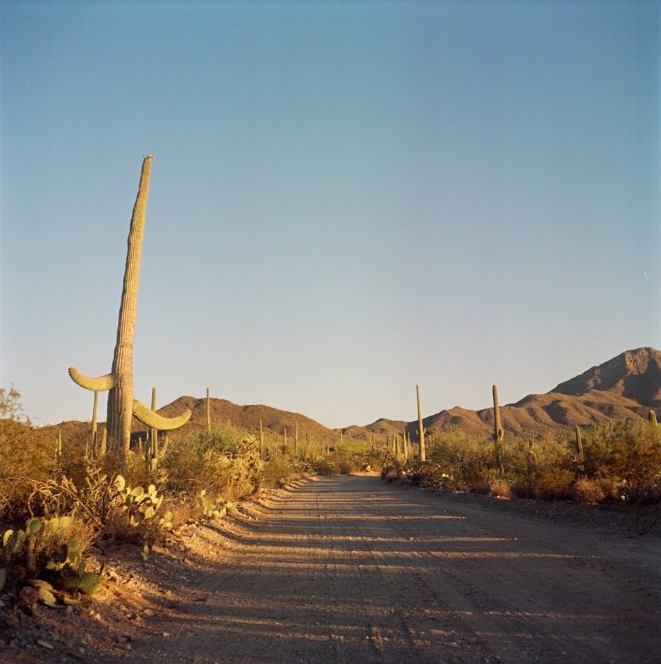 Sentry of the Desert, Part Two