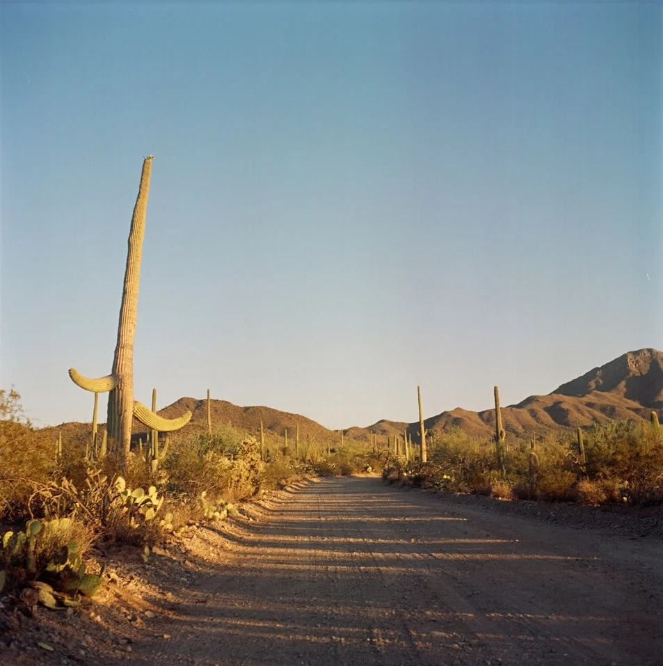 Sentry of the Desert, Part Two